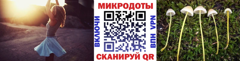 Галлюциногенные грибы GOLDEN TEACHER  Купить  Сибай 